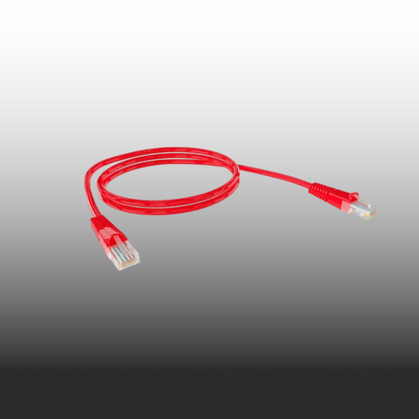 CAT6 Patch Leads
